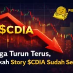 story CDIA turun