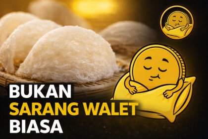 saham sarang walet