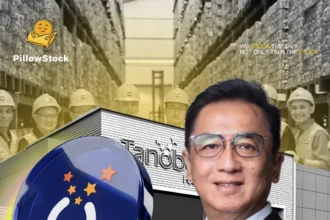 Net Zero Emission CLEO