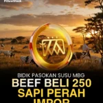 BEEF beli sapi perah impor